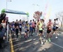 태안군 '제4회 문화체육관광부장관배 충청남도 전국어울림마라톤대회' 접수 시작