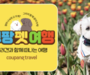 쿠팡, 