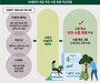 도심 미세먼지 막는 숨은 해법…가로수 설계가 답이다