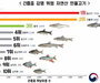 자연산 민물고기 회로 먹으면 큰일!