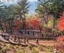 남산 하늘숲길, 한 달 만에 9만 명