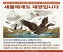 부산시 철새 대체서식지 조성 계획, 김해공항 ‘조류충돌’ 비상… 항공안전 우려 