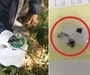 전자담배 폭발로 태국서 첫 사망 사례