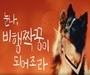 아시아나항공과 함께하는 '비행짝꿍' 모집