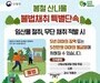 드론까지 뜬다…봄 산나물 채취, 이제 단속 전쟁