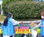 에어부산, 캐빈 승무원들 환경정화 봉사활동 실시