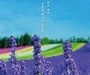 에어부산 인천-삿포로, 인천-보홀, 부산-마카오 취항